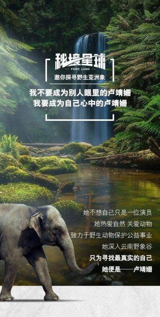 精灵女王的礼物