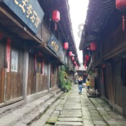 伯斯森林逃生